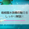 【箱根園水族館】箱根にカワウソ！？生き物と触れ合える穴場スポット