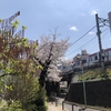 【シニアさんぽ】今日は東京をさんぽしました（洗足池から自由が丘まで）。