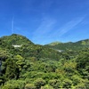 【鹿児島】『稚児の滝公園』南さつま市金峰町にある悲しき伝説のある滝。