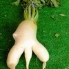 直売所・・