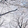 説明会