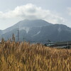 麦穂と武甲山