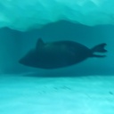 とことこの育児ブログ