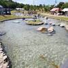 御坊市が日高港のＳｉｏトープ親水池を淡水化　〈2017年7月2日〉