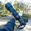 都内で野鳥撮影。東京港野鳥公園でNikon Z6IIにAF-S NIKKOR 200-500mm f/5.6E ED VRとTC-14E IIをつけて撮影してきた。1/2