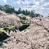 2025無料開園は明日（4/8）まで【兼六園】の観桜期