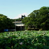 千秋公園の堀と平野政吉美術館