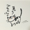 可愛い猫ちゃん