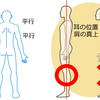 肩こりでお困りの方へ【愛知県愛西市の野口気功整体院】～肩こりのセルフケアとは～