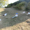 久しぶりの谷戸せせらぎ公園