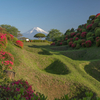 初夏の彩り