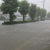 強い雨で梅雨入り