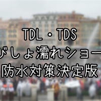 手続き方法まとめ ディズニーで落し物をしても8割の確率で戻って来る 究極雨女ほのぷーのディズニー放浪記