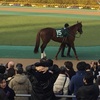 東京競馬11R 根岸ステークス パドック直前予想 ◎15 モーニン