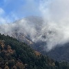 雨上がりの強風