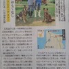 新聞に看板犬たちが出ました