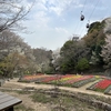 神戸旅行記　一日目（2）ハーブ園・布引の滝
