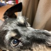 ふくすけ特集やっちゃうよ