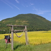 秋の田園風景