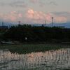 田植えと雲