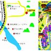 三室戸寺のツツジ園と新緑（１９）