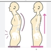 胃腸の調子の悪い人の体型