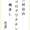 二回目の コロナワクチン 梅赤し