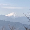 富士山とか猫とか