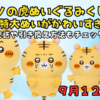 【9/12発売】ナガノの虎ぬいぐるみくじ登場！超特大ぬいがかわいすぎ♡配送や引き換え方法もチェック