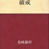 数十年前の時代を体験する　一人ブックカバーチャレンジ③