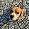 ホラーなの
