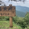働き続けていたらいつの間にかセミリタイア可能になっていた
