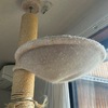 冬の猫のお気に入り寝床：ハンモックや段ボール箱や
