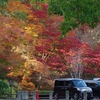 55-300ｍｍで撮った三次市尾関山公園の紅葉