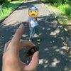 恐怖⁉️のセミとり‼️