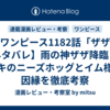 【ワンピース1182話「ザザ」ネタバレ】雨の神ザザ降臨！ロキのニーズホッグとイム様の因縁を徹底考察
