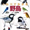 【終了】『【最大50％OFF】Kindle本 科学・テクノロジーセール』から山と渓谷社を中心に自然系の書籍をピックアップ【〜3/21】