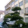 学び舎Ⅲ