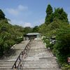 彼岸花 ～ 白野江植物公園