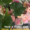 Have a happy day！ 