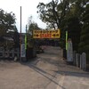 第17回行橋別府100キロウォークに参加しました。