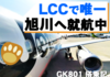 【LCC】ジェットスターで成田からオトクに安く旭川へ | 乗り方は簡単！