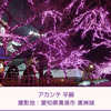 【長良川】アカンテ平嗣(内野手)　パワプロ2024-2025