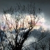 曇り雲から彩雲