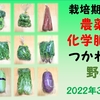 農薬や化学肥料をつかわない野菜（2022年3月第1週購入）