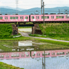 忍者列車桃色