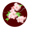 八重桜