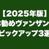 【2025年版】お勧めヴァンザント・ピックアップ3選｜エレキ・ギター
