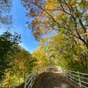 紅葉を見る！豊平川〜真駒内公園