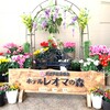 香川❘大江戸温泉物語レオマの森 春のランチバイキング  東北グルメ満喫フェア